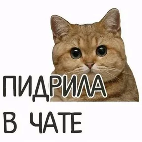 Приколы — стикер для MAX