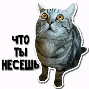 Приколы — стикер для MAX