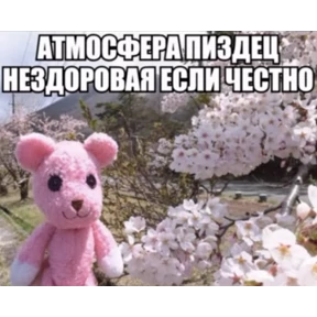 Miay — стикер для MAX