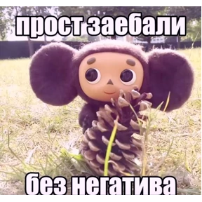Miay — стикер для MAX