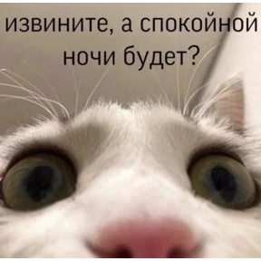Ржакастикеры — стикер для MAX