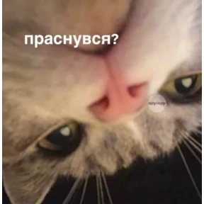 Ржакастикеры — стикер для MAX