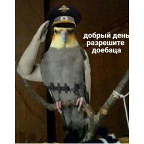 Ржакастикеры — стикер для MAX