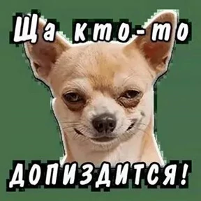 Приколы — стикер для MAX