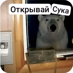 Стикеры Макса Ебyна — стикер для MAX