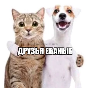 екарный бабай — стикер для MAX