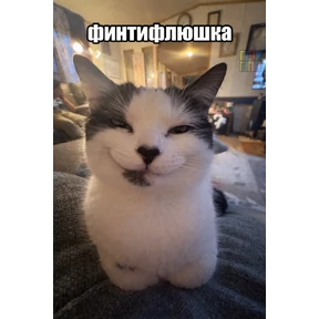 екарный бабай — стикер для MAX