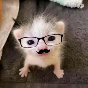 ляля — стикер для MAX