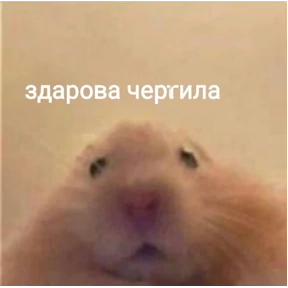 Уло, перезвони мне — стикер для MAX