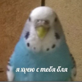Уло, перезвони мне — стикер для MAX