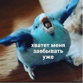 Уло, перезвони мне — стикер для MAX