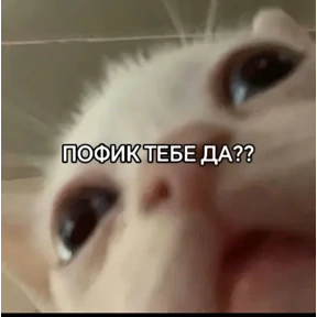 Уло, перезвони мне — стикер для MAX