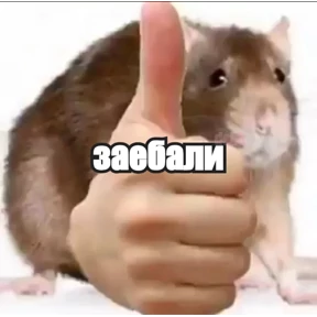 екарный бабай — стикер для MAX