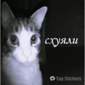 Орери — стикер для MAX