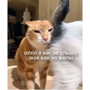 пиу пяу — стикер для MAX