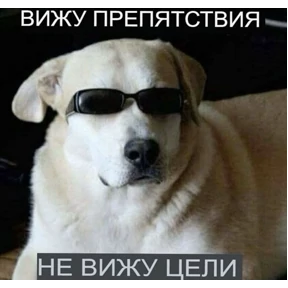 Мяу — стикер для MAX