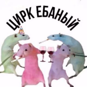 Мяу — стикер для MAX