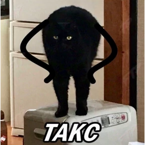 Мяу — стикер для MAX