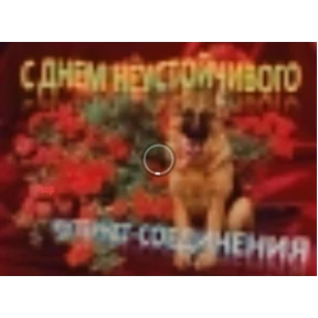 спороч кароч! — стикер для MAX
