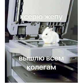 спороч кароч! — стикер для MAX