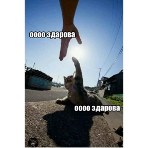 спороч кароч! — стикер для MAX