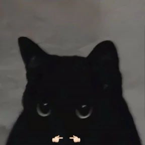 Котики — стикер для MAX