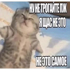 кристиночка — стикер для MAX