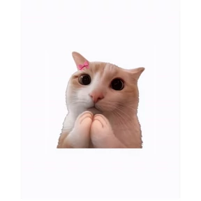 Miay — стикер для MAX