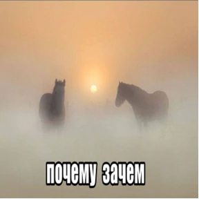 кристиночка — стикер для MAX