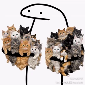 Кошаки — стикер для MAX