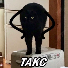 Кошаки — стикер для MAX