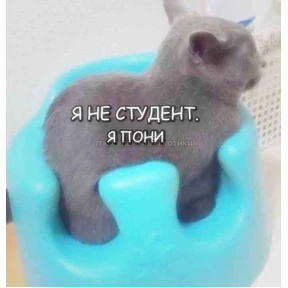 Кошаки — стикер для MAX
