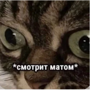 Утинаязёпка — стикер для MAX