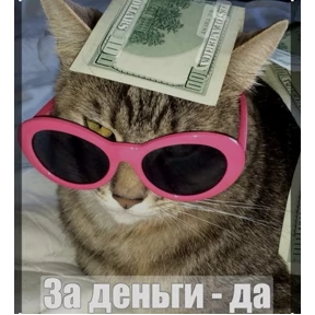 Животные — стикер для MAX