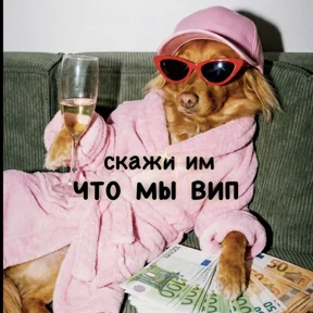 Джини — стикер для MAX