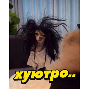 Животные — стикер для MAX