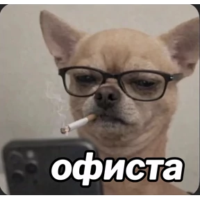 Животные — стикер для MAX