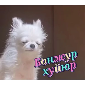 Животные — стикер для MAX
