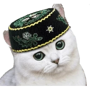 MemesDK — стикер для MAX