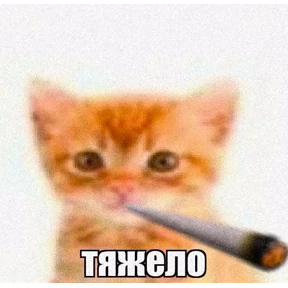 Эдуарду — стикер для MAX