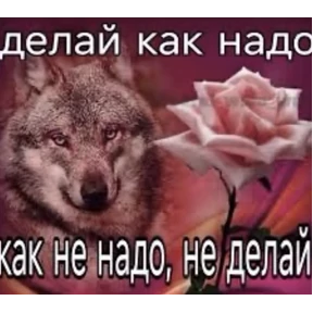 Эдуарду — стикер для MAX