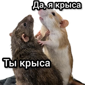 Болталка — стикер для MAX