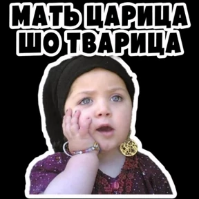 мои стикеры — стикер для MAX