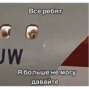 Miay — стикер для MAX
