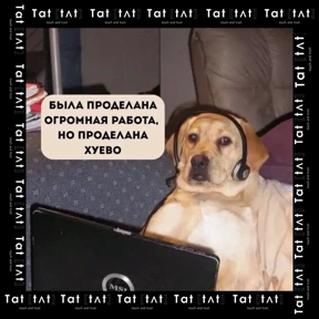 Miay — стикер для MAX
