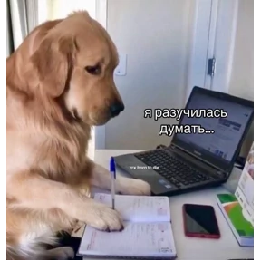 Miay — стикер для MAX