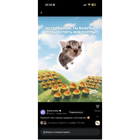 Miay — стикер для MAX