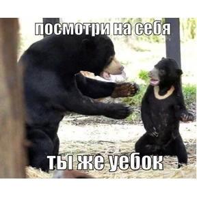 Любовь — стикер для MAX