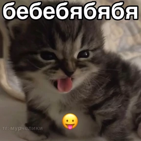 Мой наборчик — стикер для MAX