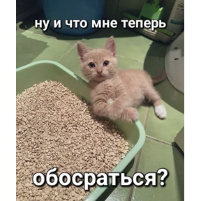 джупсики — стикер для MAX